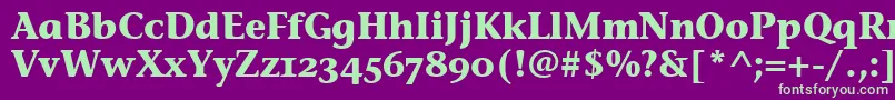 StoneInfOsItcTtBold Font – Green Fonts on Purple Background