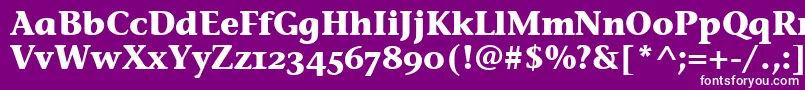 フォントStoneInfOsItcTtBold – 紫の背景に白い文字