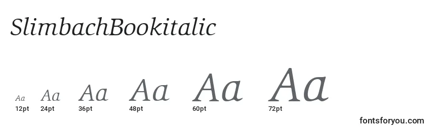 SlimbachBookitalic Font Sizes