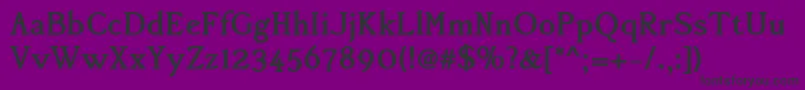 Accanthisadfstdno2Bold Font – Black Fonts on Purple Background