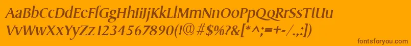 SydneyItalic Font – Brown Fonts on Orange Background