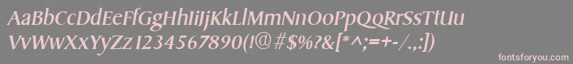 SydneyItalic Font – Pink Fonts on Gray Background