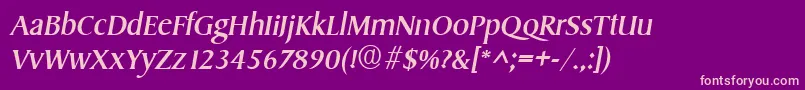 SydneyItalic Font – Pink Fonts on Purple Background