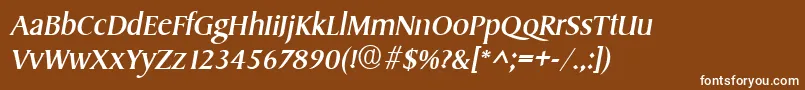 SydneyItalic Font – White Fonts on Brown Background