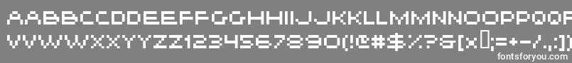 フォントHiskyf21 – 灰色の背景に白い文字