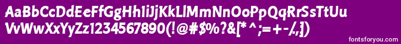 LinotypePisaHeadline Font – White Fonts on Purple Background