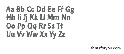 Обзор шрифта LinotypePisaHeadline
