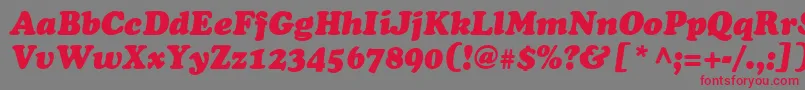 Шрифт CooperSsiBlackItalic – красные шрифты на сером фоне