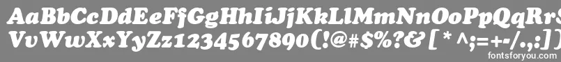 フォントCooperSsiBlackItalic – 灰色の背景に白い文字