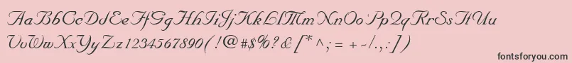 MarriageScriptNormal Font – Black Fonts on Pink Background