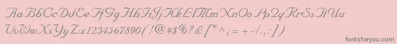 MarriageScriptNormal Font – Gray Fonts on Pink Background