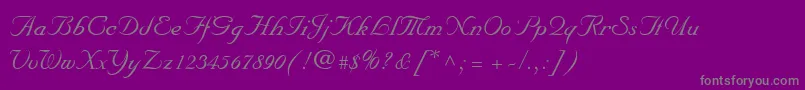MarriageScriptNormal Font – Gray Fonts on Purple Background
