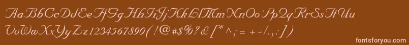 MarriageScriptNormal Font – Pink Fonts on Brown Background