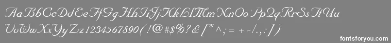 MarriageScriptNormal-Schriftart – Weiße Schriften auf grauem Hintergrund