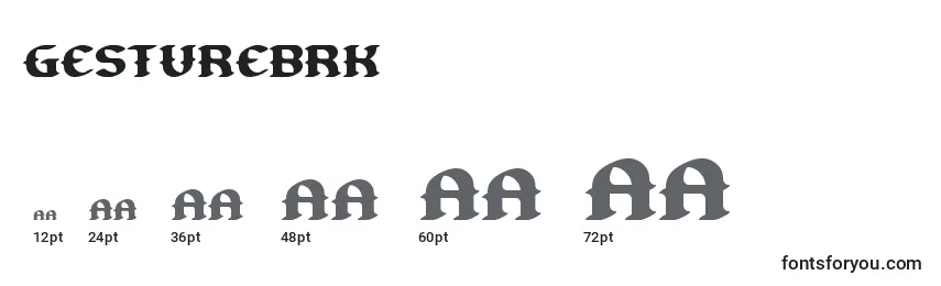 GestureBrk Font Sizes