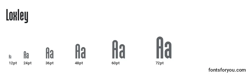 Loxley Font Sizes