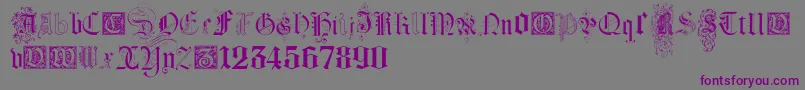 KidnappedAtGermanLandsFour-Schriftart – Violette Schriften auf grauem Hintergrund