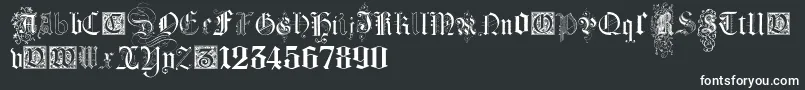 KidnappedAtGermanLandsFour Font – White Fonts on Black Background