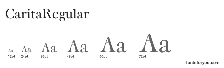 CaritaRegular Font Sizes