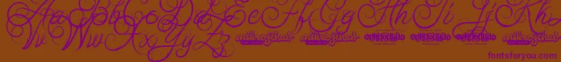 AbabilScriptDemo-Schriftart – Violette Schriften auf braunem Hintergrund