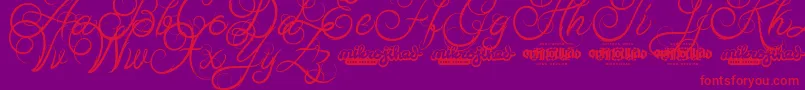 AbabilScriptDemo-Schriftart – Rote Schriften auf violettem Hintergrund