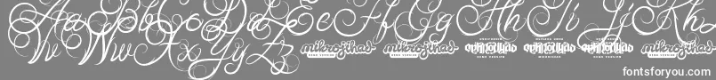 AbabilScriptDemo Font – White Fonts on Gray Background