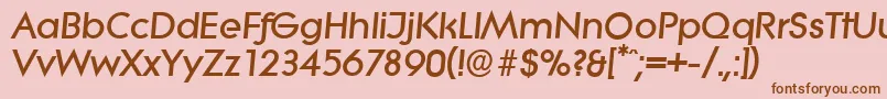 LiteraserialHeavyItalic Font – Brown Fonts on Pink Background