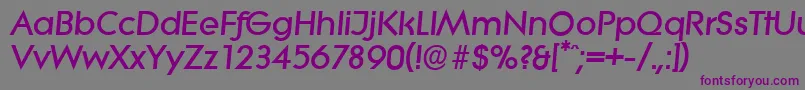 LiteraserialHeavyItalic Font – Purple Fonts on Gray Background