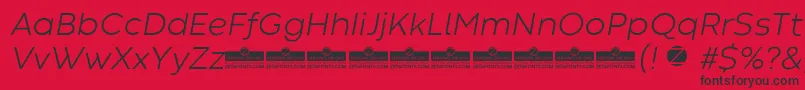 CodecWarmLightItalicTrial Font – Black Fonts on Red Background