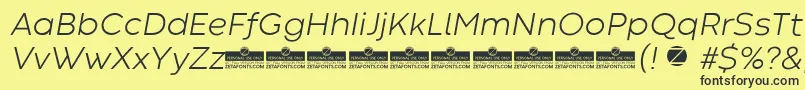 CodecWarmLightItalicTrial Font – Black Fonts on Yellow Background