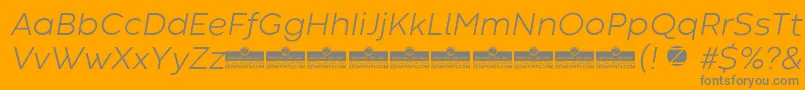 CodecWarmLightItalicTrial Font – Gray Fonts on Orange Background