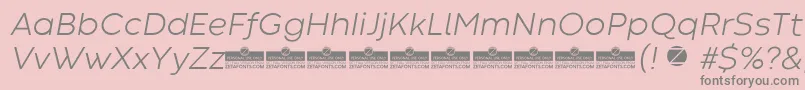 CodecWarmLightItalicTrial Font – Gray Fonts on Pink Background