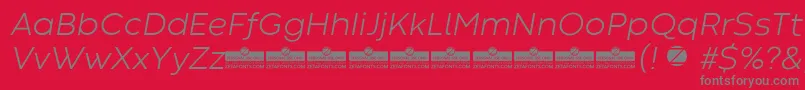 CodecWarmLightItalicTrial Font – Gray Fonts on Red Background