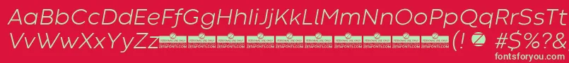 CodecWarmLightItalicTrial Font – Green Fonts on Red Background