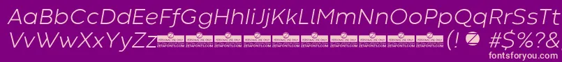 CodecWarmLightItalicTrial Font – Pink Fonts on Purple Background