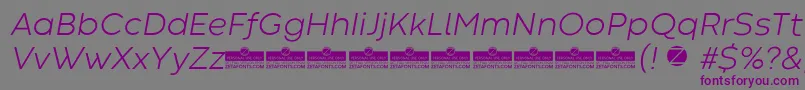 Czcionka CodecWarmLightItalicTrial – fioletowe czcionki na szarym tle