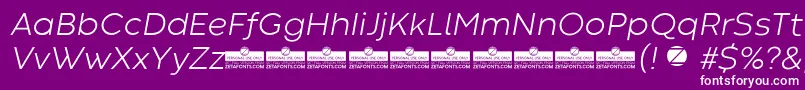 CodecWarmLightItalicTrial Font – White Fonts on Purple Background