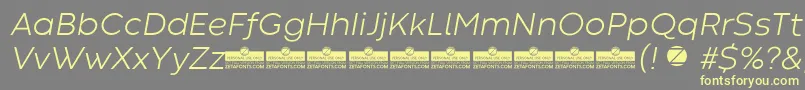 CodecWarmLightItalicTrial Font – Yellow Fonts on Gray Background