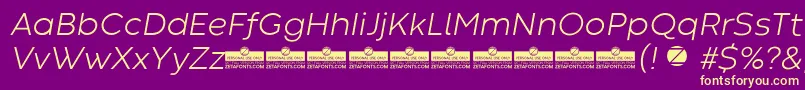 CodecWarmLightItalicTrial Font – Yellow Fonts on Purple Background