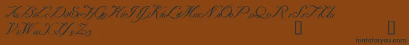 Baraquiel Font – Black Fonts on Brown Background