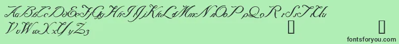 Baraquiel Font – Black Fonts on Green Background