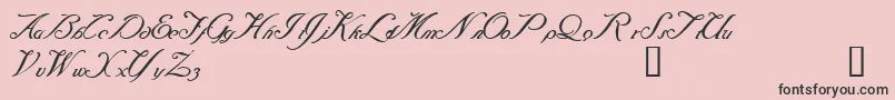 Baraquiel Font – Black Fonts on Pink Background