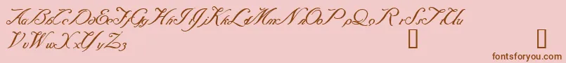 Baraquiel Font – Brown Fonts on Pink Background