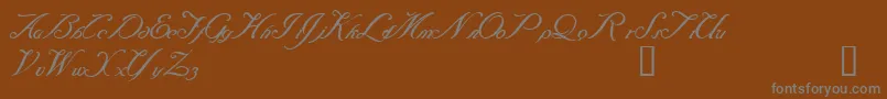 Baraquiel Font – Gray Fonts on Brown Background