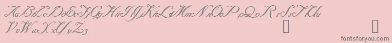 フォントBaraquiel – ピンクの背景に灰色の文字