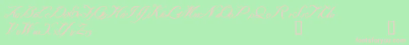 Baraquiel Font – Pink Fonts on Green Background