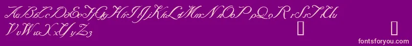 Baraquiel Font – Pink Fonts on Purple Background