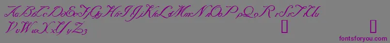 Baraquiel Font – Purple Fonts on Gray Background