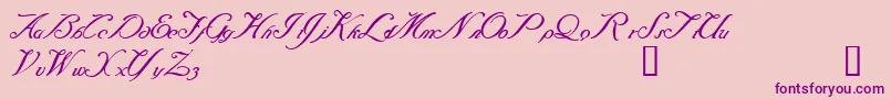 Baraquiel Font – Purple Fonts on Pink Background