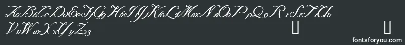 Baraquiel Font – White Fonts on Black Background